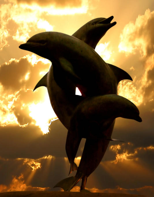 Triple dolphin sunset filtered